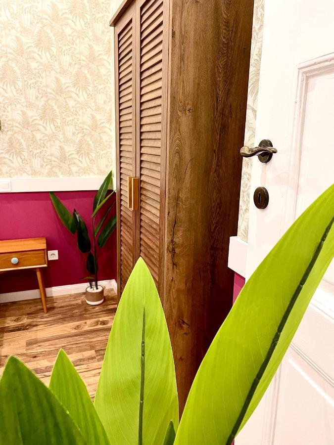 Appartement Thermal Raday 4 - Zendaya
